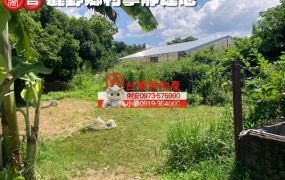 台東房地產 / 鹿野鄉村寧靜建地