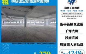 66快速全新氣派RC廠房A155