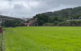 鄰路都市計劃內大農地