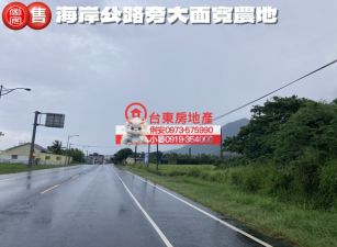 台東房地產/ 海岸公路旁大面寬農地