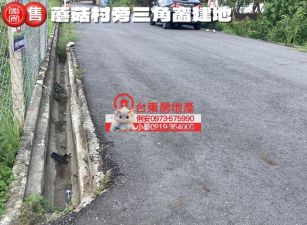 台東房地產 / 蘑菇村旁三角窗建地