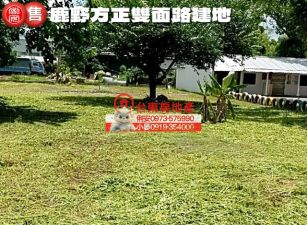 台東房地產 / 鹿野方正雙面路建地