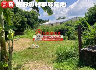 台東房地產 / 鹿野鄉村寧靜建地