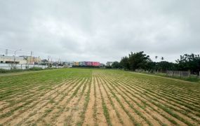 甲后路都內方正田