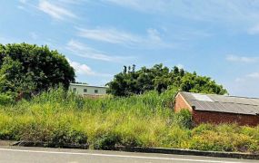 新屋8米路甲建/桃園新屋工業地廠房