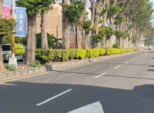 斗中路邊間黃金店面