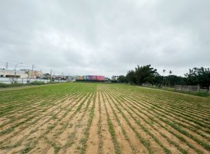 甲后路都內方正田