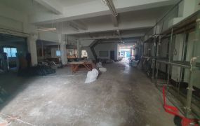 南崁工業區合法挑高廠房/蘆竹工業地廠房