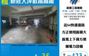 新莊大坪數挑高廠
