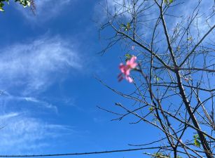 微風之丘旁平坦超值丙建