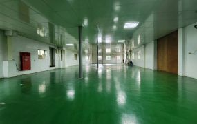近工業區挑高鋼構廠房/楊梅工業地廠房