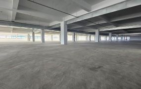 66快速道路全新氣派RC廠房可分AB廠)/桃園新屋工業地廠房