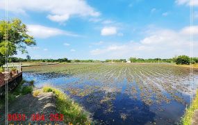 葫蘆埤９分３超值農地H。蝸牛居0931384262