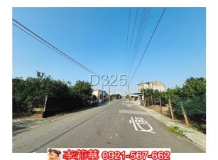 麻豆安業柚香農地