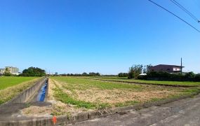新屋石磊漂亮農地