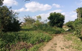 龍潭交流道方正甲建/桃園龍潭工業地廠房