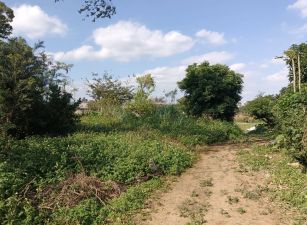 龍潭交流道方正甲建/桃園龍潭工業地廠房
