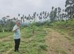 台中買屋賣房 土地王劉志忠集集北勢坑段景觀平坦農地
