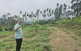 台中買屋賣房 土地王劉志忠集集北勢坑段景觀平坦農地