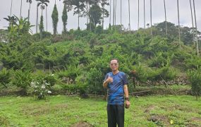 台中買屋賣房 土地王劉志忠 鹿谷近廣興國小都計內興產段土地