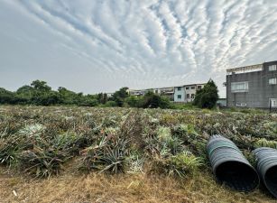 竹崎東義農地09-076    05-2337228