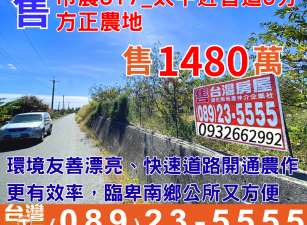 市農317_近新生北路快速河堤右岸農地