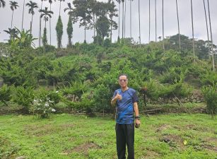 台中買屋賣房 土地王劉志忠 鹿谷近廣興國小都計內興產段土地