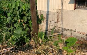 荖藤里農地01-015   05-2310186