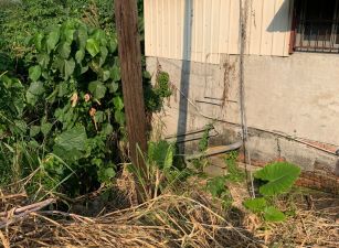 荖藤里農地01-015   05-2337228