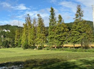關西全平種植農地