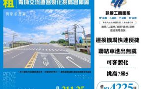 青埔交流道客製化挑高廠(可分租)155
