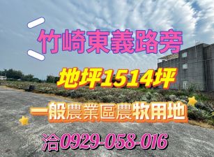 竹崎東義農地