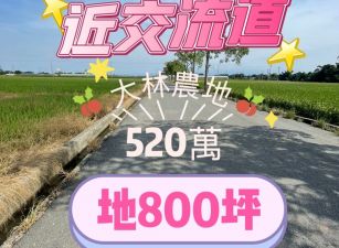 大林交流道旁農地