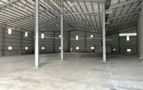 大園挑高7米/腹地/鋼構廠房  •    大桃園廠房買賣/工業地/建地/徵收農地/廠房出租