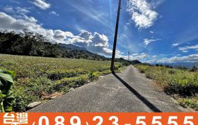 縱農107-8美麗鹿野鄉公所旁高視野景觀農地H