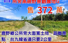 縱農107-7美麗鹿野鄉公所旁高視野景觀農地G