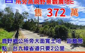 縱農107-5美麗鹿野鄉公所旁高視野景觀農地E