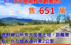 縱農107-4美麗鹿野鄉公所旁高視野景觀農地D