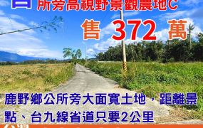 縱農107-3美麗鹿野鄉公所旁高視野景觀農地c