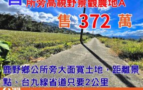 縱農107-1美麗鹿野鄉公所旁高視野景觀農地A
