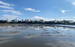 永慶不動產★冬山近國道雙足坪方正農地