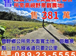 縱農107-9美麗鹿野鄉公所旁高視野景觀農地I