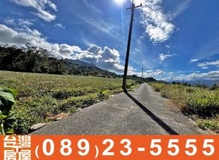 縱農107-8美麗鹿野鄉公所旁高視野景觀農地H
