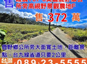 縱農107-6美麗鹿野鄉公所旁高視野景觀農地F