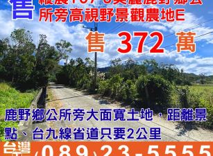 縱農107-5美麗鹿野鄉公所旁高視野景觀農地E