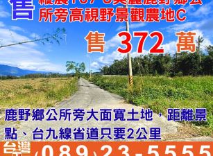縱農107-3美麗鹿野鄉公所旁高視野景觀農地c