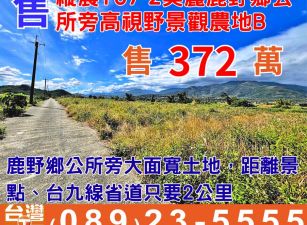 縱農107-2美麗鹿野鄉公所旁高視野景觀農地B