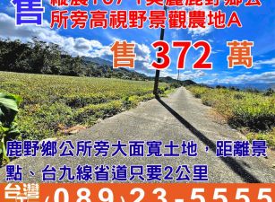 縱農107-1美麗鹿野鄉公所旁高視野景觀農地A