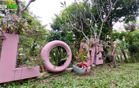 新竹縣北埔合法資材室美農園