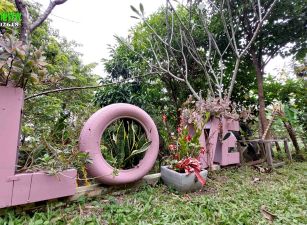 新竹縣北埔合法資材室美農園